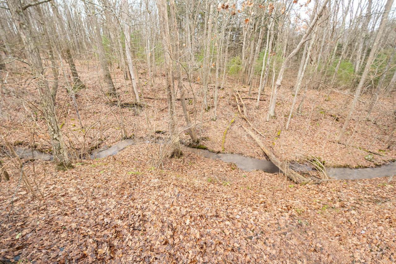 فيلا Laurel Brook 39 Oakland المظهر الخارجي الصورة